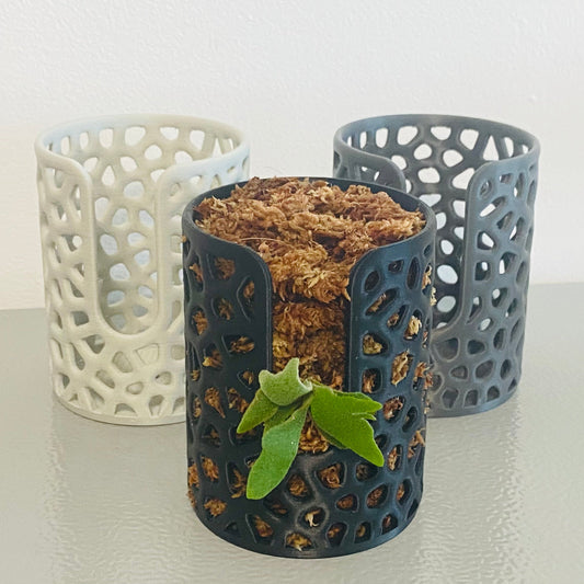 Voronoi Cutout Staghorn Fern Mount Cup - Voronoi Cutout Planter Pot - Modern Geometric Vase, Airflow Root Design, Indoor Plant Decor